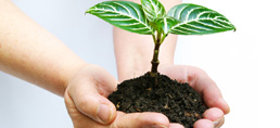 Grow with Smarter Solutions