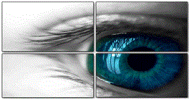 security surveillance